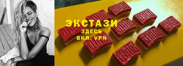 ECSTASY Алзамай