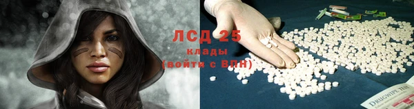 ECSTASY Алзамай