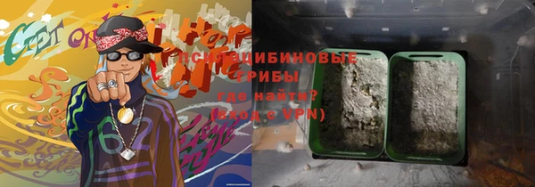 хмурый Алексеевка