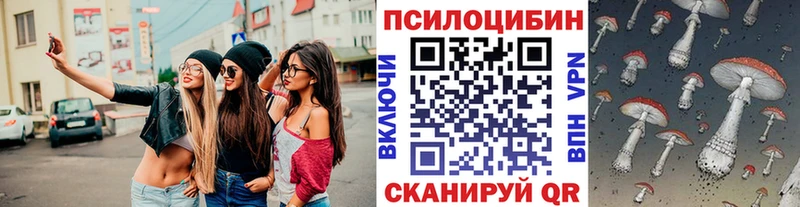 OMG онион  Берёзовка  Псилоцибиновые грибы прущие грибы 